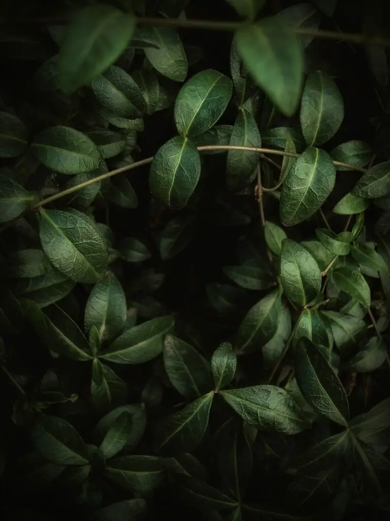 eugene golovesov CtPlG1MZzpA unsplash Home